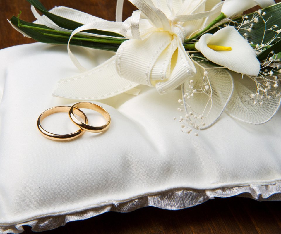 Обои цветы, обручальные кольца, подушечка, flowers, engagement rings, cushion разрешение 2560x1600 Загрузить