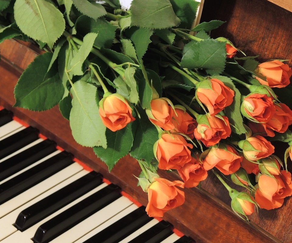 Обои цветы, бутоны, розы, пианино, букет цветов, flowers, buds, roses, piano, a bouquet of flowers разрешение 1920x1158 Загрузить
