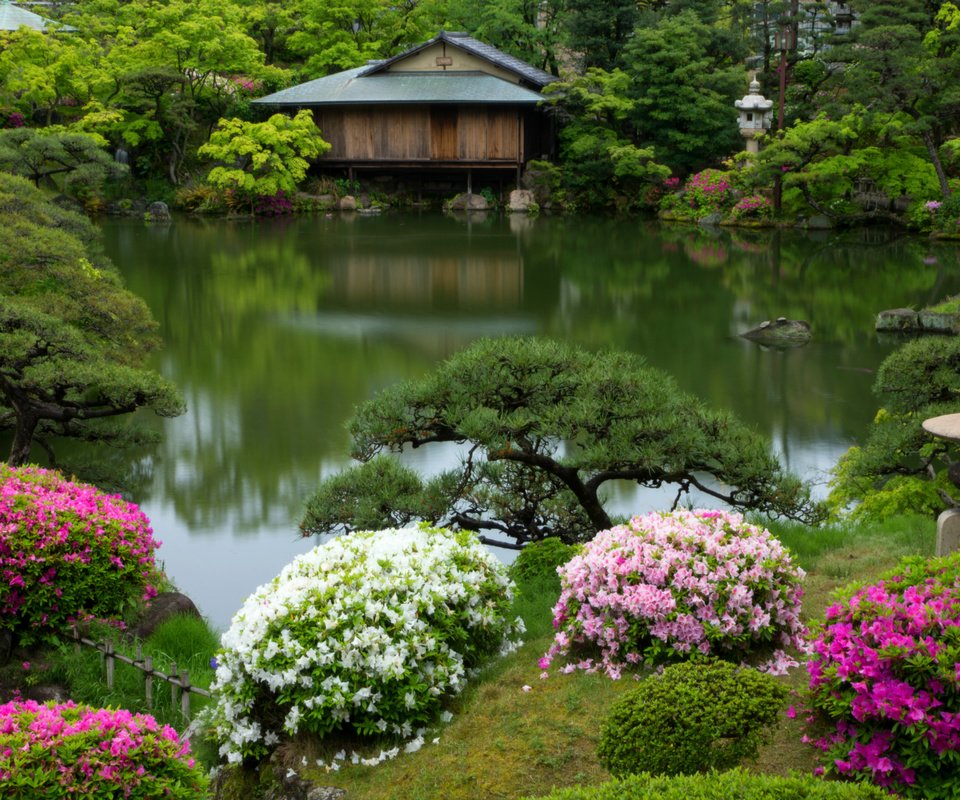 Обои кусты, япония, сад, домик, пруд, азалии, рододендрон, кобе, the bushes, japan, garden, house, pond, azaleas, rhododendron, kobe разрешение 2400x1600 Загрузить