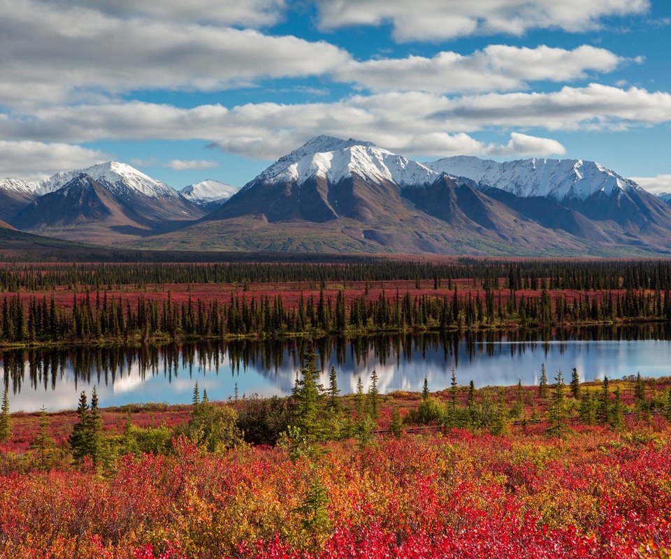 Обои небо, облака, деревья, горы, лес, осень, сша, аляска, the sky, clouds, trees, mountains, forest, autumn, usa, alaska разрешение 2048x1365 Загрузить