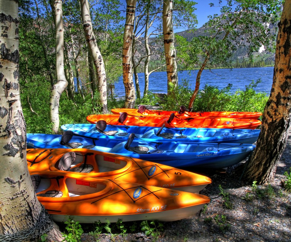 Обои деревья, калифорния, озеро, june lake, горы, берег, лес, разноцветные, лодки, сша, trees, ca, lake, mountains, shore, forest, colorful, boats, usa разрешение 3001x2000 Загрузить