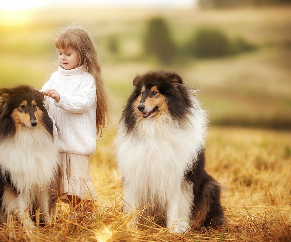 Обои девочка, ребенок, друзья, собаки, колли, girl, child, friends, dogs, collie разрешение 1920x1200 Загрузить