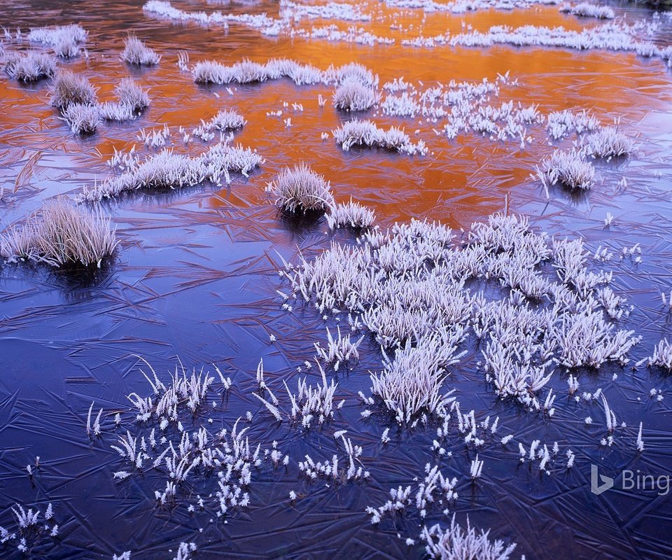 Обои природа, jerusalem national park, болото, мороз, иней, лёд, австралия, заморозки, bing, тасмания, nature, swamp, frost, ice, australia, freezing, tasmania разрешение 1920x1200 Загрузить