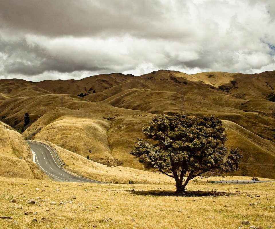 Обои небо, дорога, холмы, дерево, пейзаж, осень, the sky, road, hills, tree, landscape, autumn разрешение 2880x1800 Загрузить