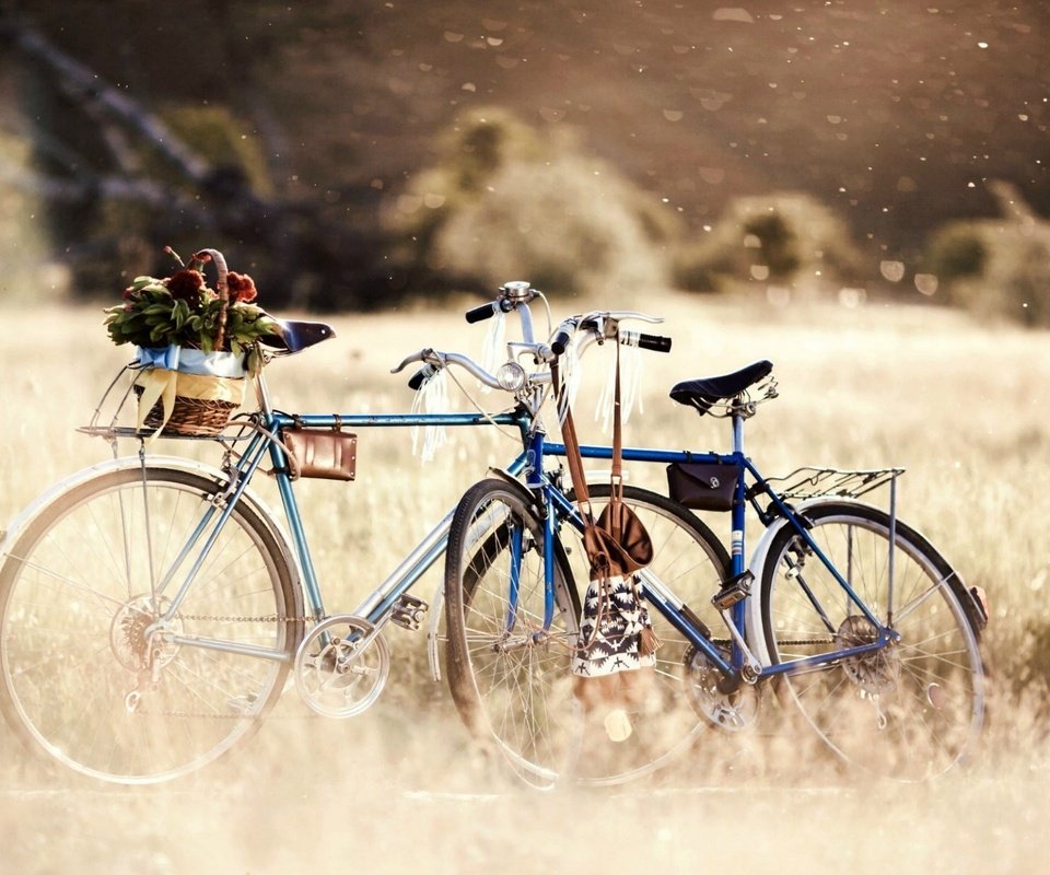 Обои цветы, трава, деревья, природа, велосипед, боке, flowers, grass, trees, nature, bike, bokeh разрешение 1920x1200 Загрузить