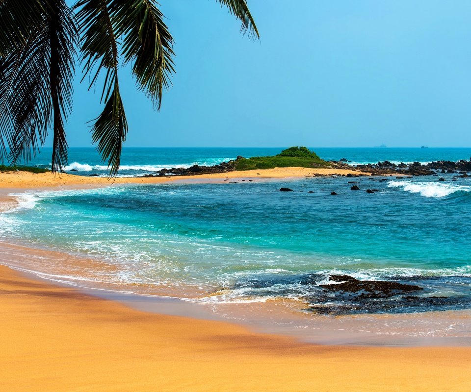 Обои море, пляж, лето, пальмы, отдых, тропики, sea, beach, summer, palm trees, stay, tropics разрешение 4500x2995 Загрузить