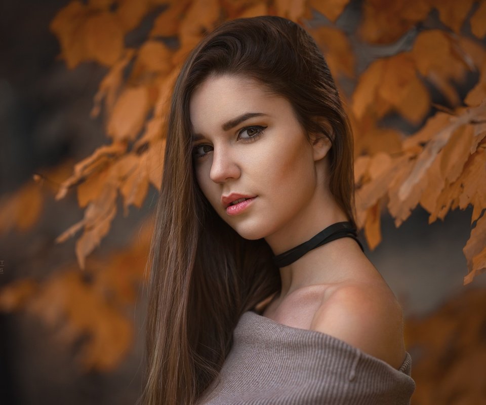 Обои глаза, девушка, портрет, листва, взгляд, осень, eyes, girl, portrait, foliage, look, autumn разрешение 2048x1365 Загрузить