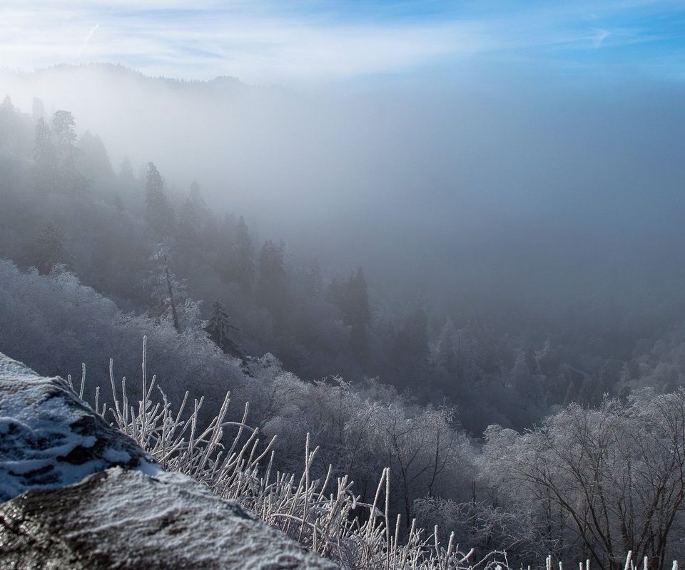 Обои облака, мороз, горы, склон, снег, природа, дерево, лес, зима, туман, clouds, frost, mountains, slope, snow, nature, tree, forest, winter, fog разрешение 1920x1080 Загрузить