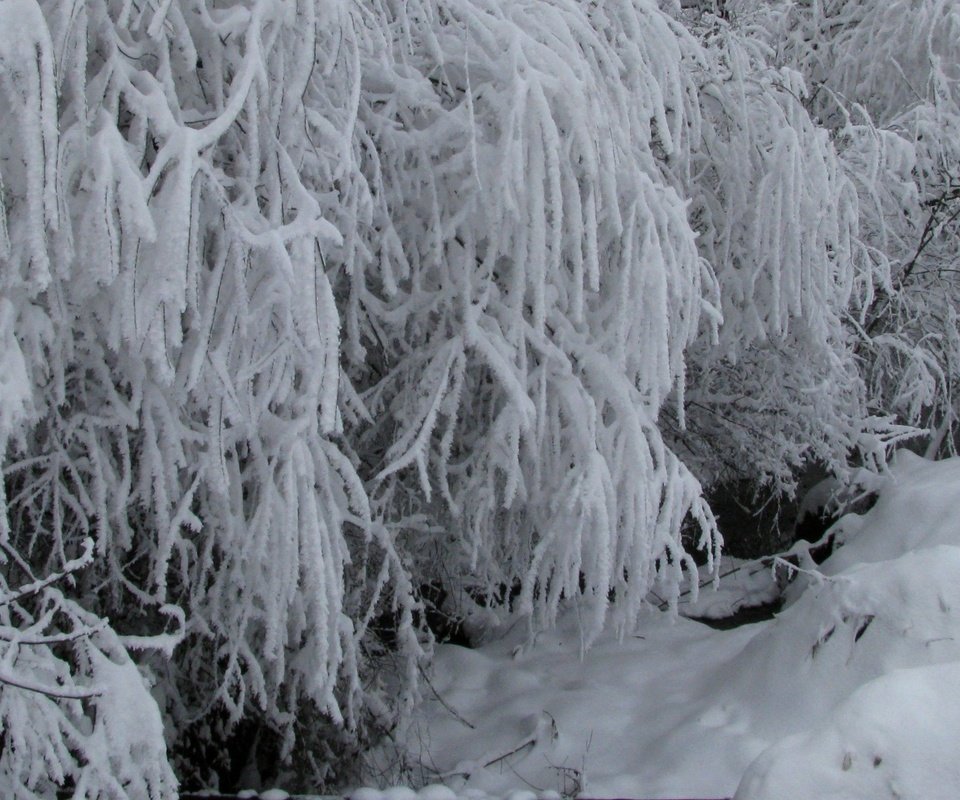 Обои снег, зима, ручей, snow, winter, stream разрешение 2560x1440 Загрузить