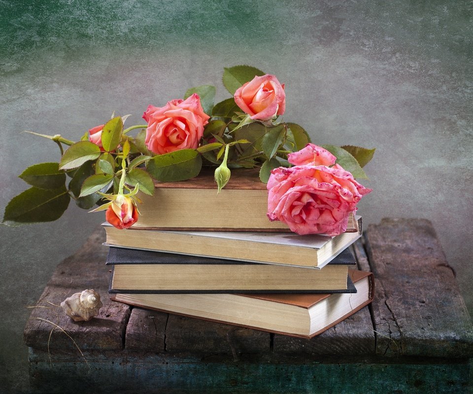 Обои цветы, розы, книги, доски, ракушка, натюрморт, композиция, flowers, roses, books, board, shell, still life, composition разрешение 3008x2000 Загрузить