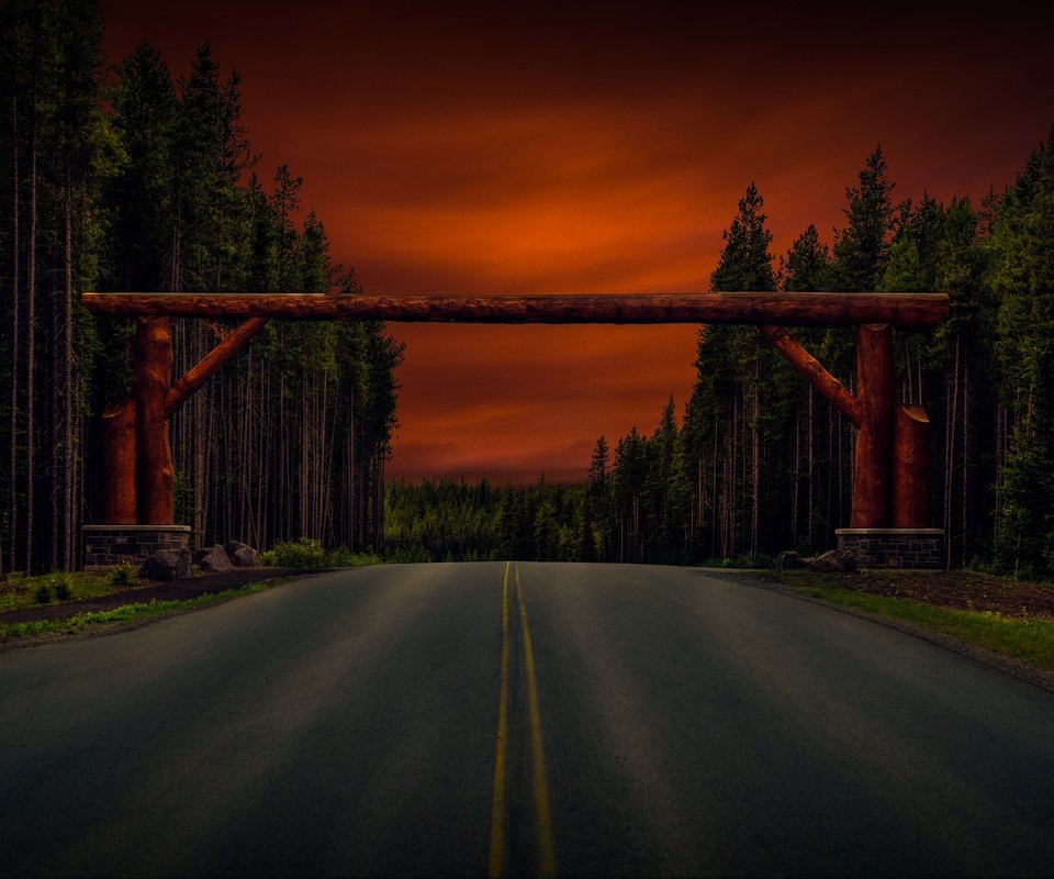 Обои дорога, деревья, лес, арка, бревна, road, trees, forest, arch, logs разрешение 6575x4215 Загрузить