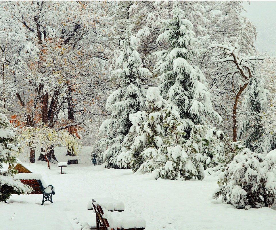 Обои деревья, снег, зима, парк, скамейки, деревь, изморозь, trees, snow, winter, park, benches, frost разрешение 3000x1910 Загрузить