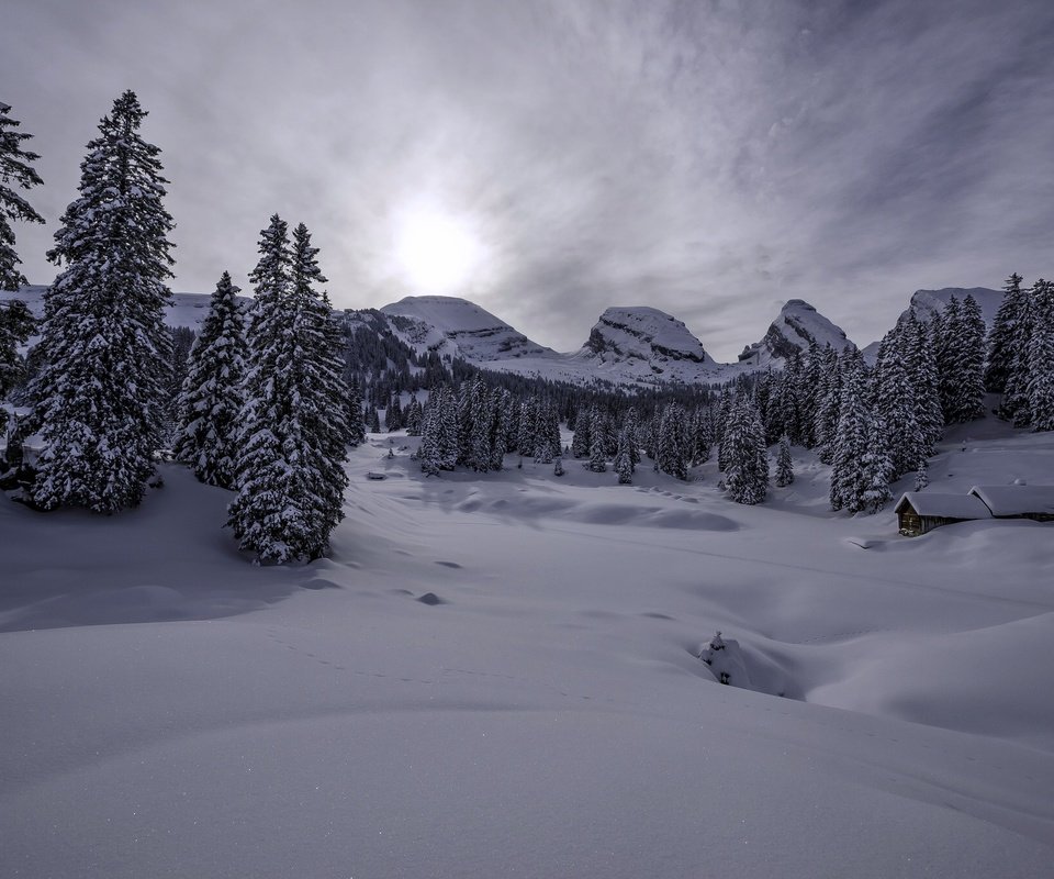 Обои горы, снег, зима, швейцария, домик, ели, сугробы, альпы, mountains, snow, winter, switzerland, house, ate, the snow, alps разрешение 2048x1356 Загрузить