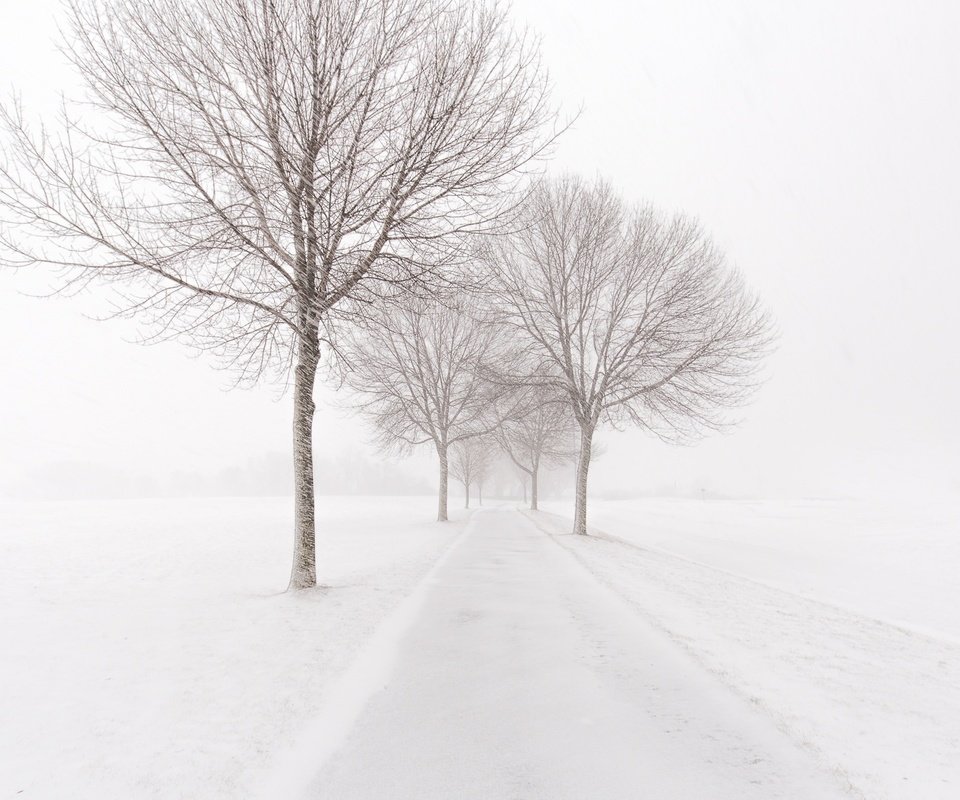 Обои дорога, деревья, снег, зима, метель, road, trees, snow, winter, blizzard разрешение 2048x1365 Загрузить