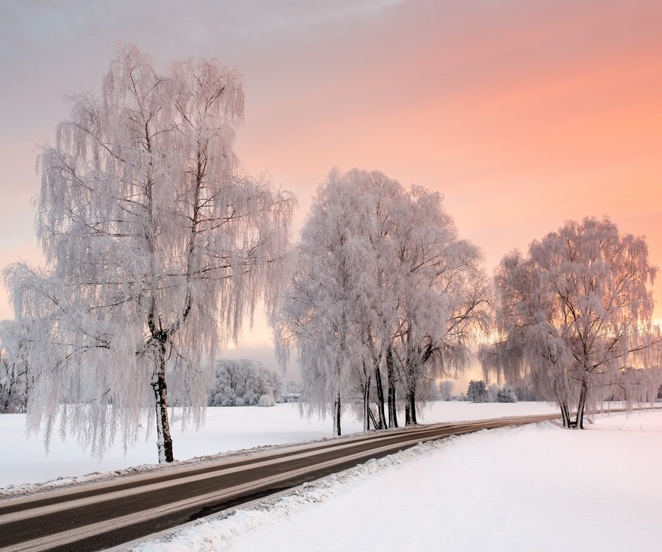 Обои дорога, деревья, снег, зима, road, trees, snow, winter разрешение 2048x1365 Загрузить