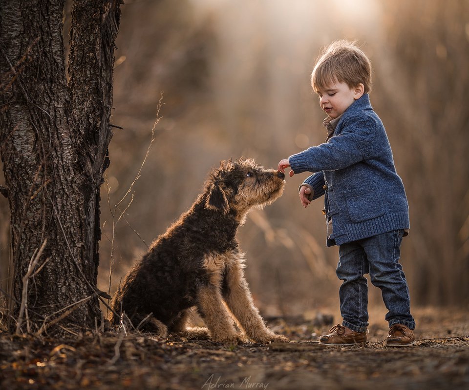 Обои собака, мальчик, друзья, dog, boy, friends разрешение 1920x1200 Загрузить