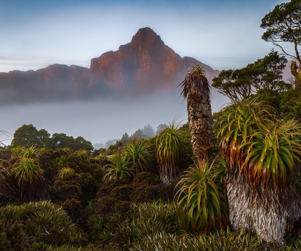 Обои австралия, тасмания, south west national park, australia, tasmania разрешение 2048x1365 Загрузить