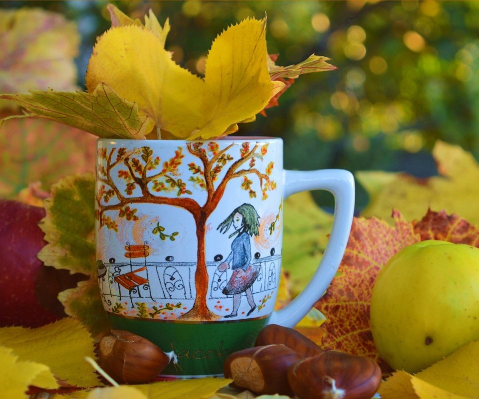 Обои листья, яблоки, осень, чашка, осен, каштаны,  листья, leaves, apples, autumn, cup, chestnuts разрешение 3002x1912 Загрузить