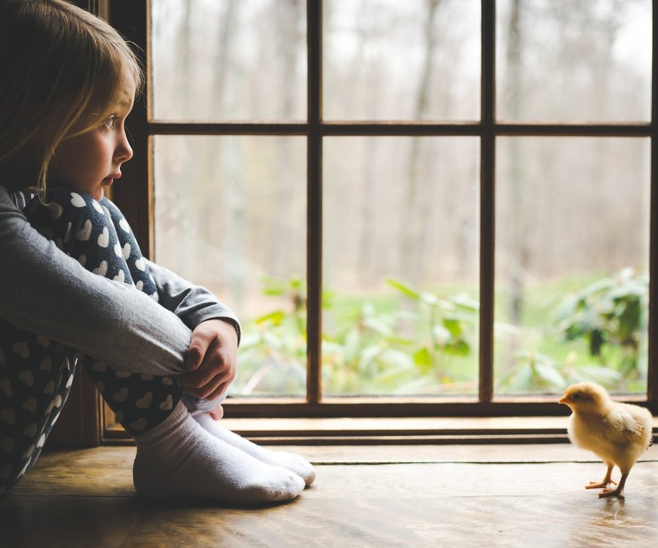 Обои дети, девочка, ребенок, окно, цыплёнок, подоконник, children, girl, child, window, chicken, sill разрешение 2048x1365 Загрузить