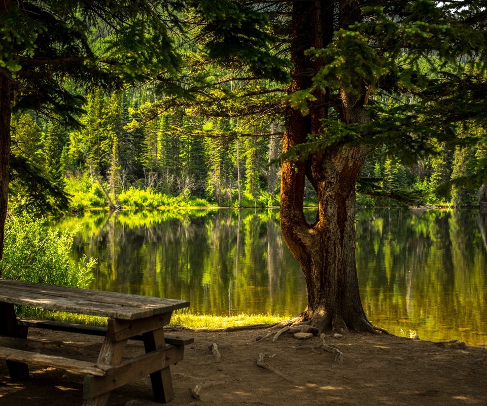 Обои деревья, вода, озеро, природа, лес, стол, скамейка, trees, water, lake, nature, forest, table, bench разрешение 6016x4016 Загрузить