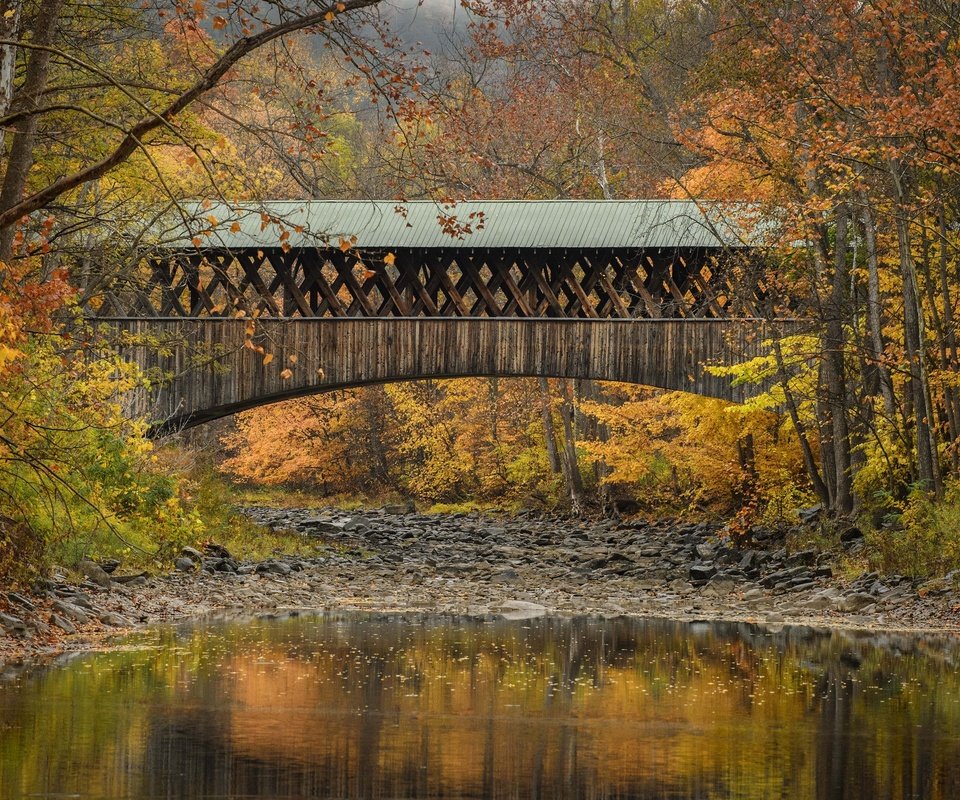 Обои деревья, река, мост, осень, нью-йорк, бленхейм, state of new york, trees, river, bridge, autumn, new york, blenheim разрешение 2048x1365 Загрузить