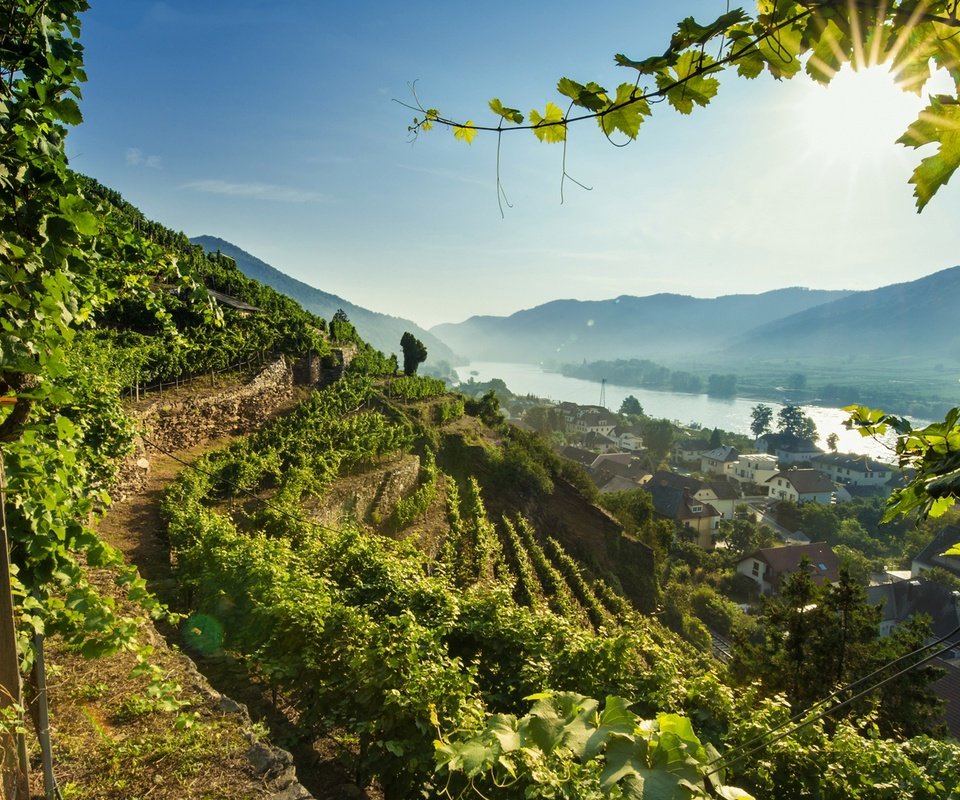 Обои река, австрия, долина, дунай, вахау, river, austria, valley, the danube, wachau разрешение 1920x1210 Загрузить