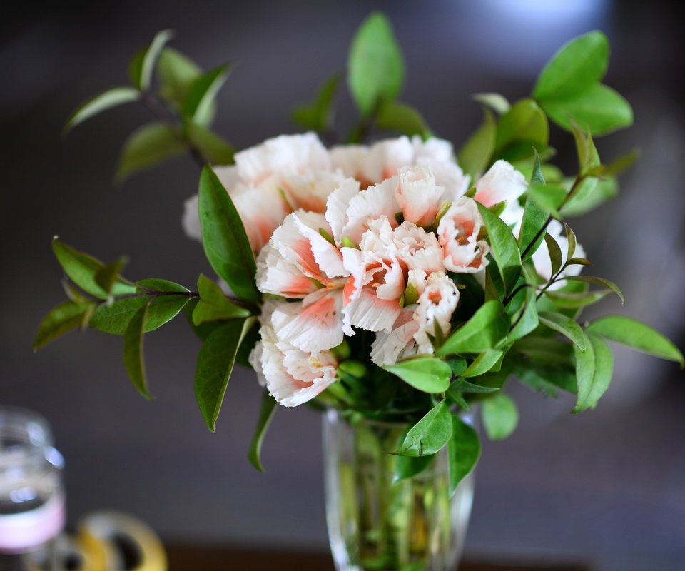 Обои цветы, листья, ветки, букет, ваза, пеларгония, flowers, leaves, branches, bouquet, vase, pelargonium разрешение 6016x4016 Загрузить