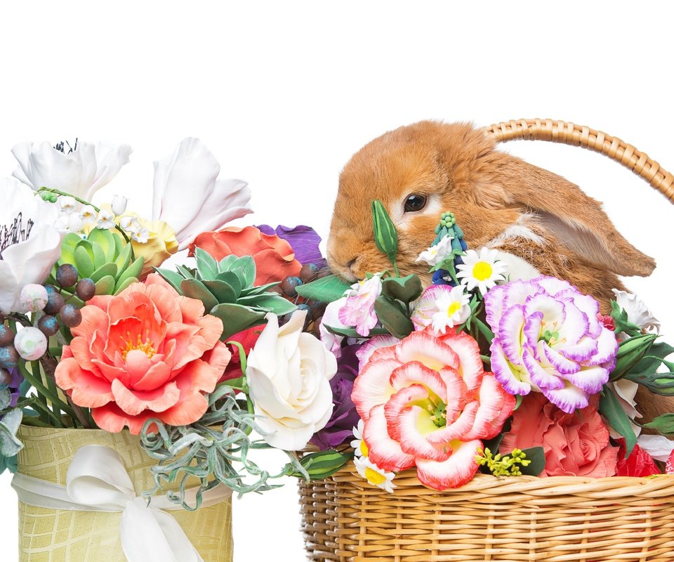 Обои цветы, довольная, корзина, зайка, кролик, пасха,  цветы, глазунья, декорация, весенние, зеленые пасхальные, flowers, happy, basket, bunny, rabbit, easter, eggs, decoration, spring разрешение 5760x3840 Загрузить