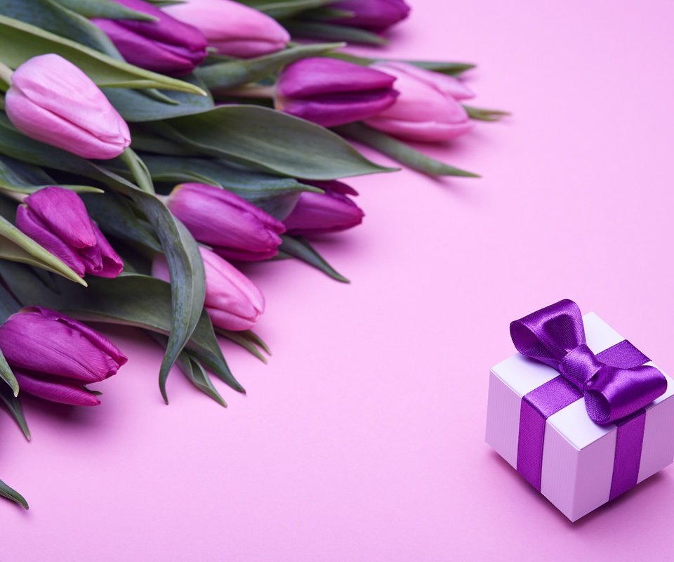 Обои букет, влюбленная, тюльпаны, пинк, лиловая, розовые, подарок, романтик, бант, тульпаны,  цветы, парное, fresh, bouquet, love, tulips, purple, pink, gift, romantic, bow, flowers разрешение 4992x3328 Загрузить