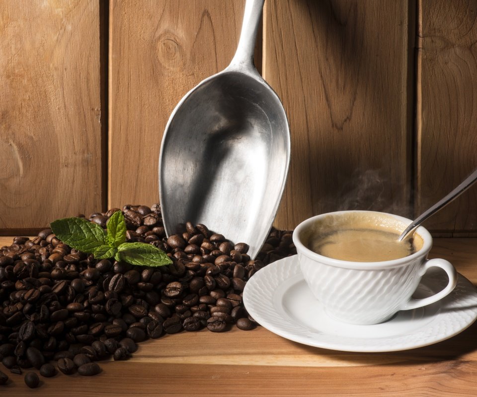 Обои мята, зерна, кофе, чашка, кофейные зерна, совок, mint, grain, coffee, cup, coffee beans, scoop разрешение 6618x4692 Загрузить