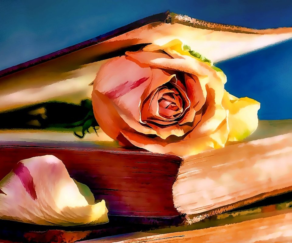 Обои арт, рисунок, цветок, роза, книга, art, figure, flower, rose, book разрешение 2300x1321 Загрузить