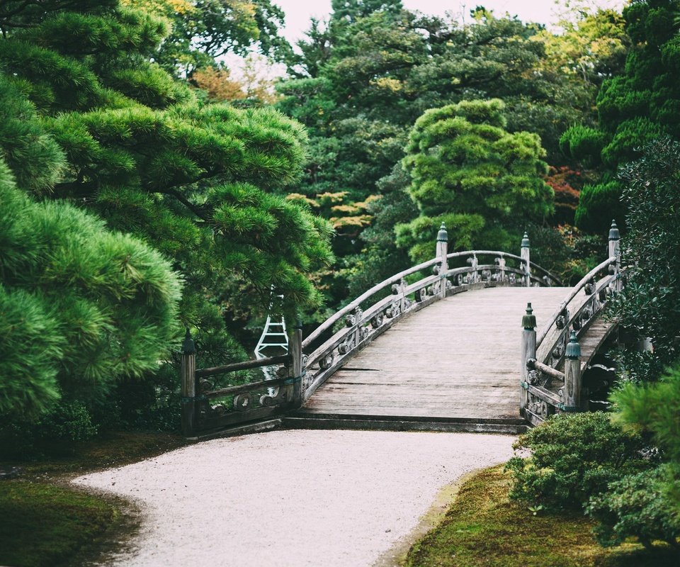 Обои деревья, природа, парк, мост, сад, trees, nature, park, bridge, garden разрешение 2048x1152 Загрузить