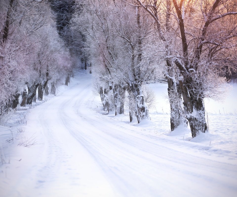 Обои дорога, деревья, снег, зима, road, trees, snow, winter разрешение 2048x1365 Загрузить