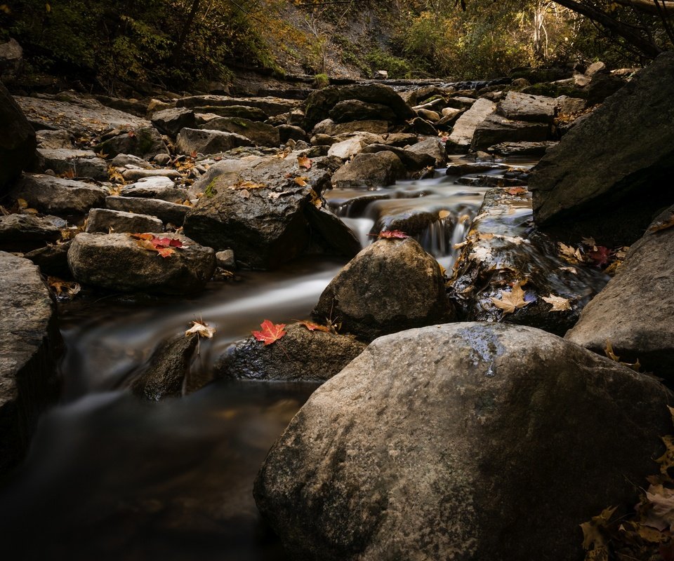 Обои вода, природа, камни, листья, ручей, осень, water, nature, stones, leaves, stream, autumn разрешение 2048x1367 Загрузить