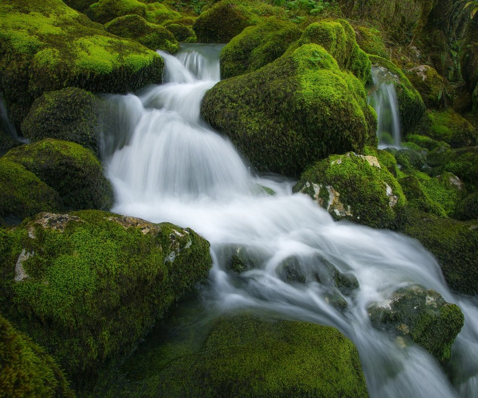 Обои вода, камни, поток, мох, water, stones, stream, moss разрешение 2048x1365 Загрузить