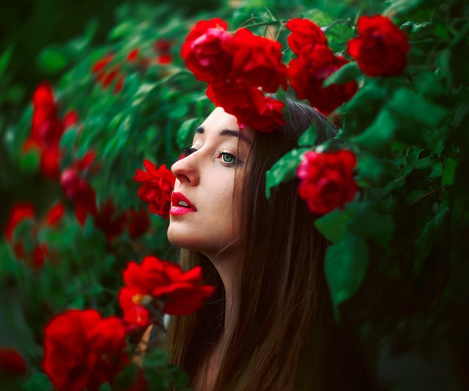 Обои цветы, лицо, природа, девушка, розы, модель, профиль, волосы, губы, flowers, face, nature, girl, roses, model, profile, hair, lips разрешение 2048x1365 Загрузить