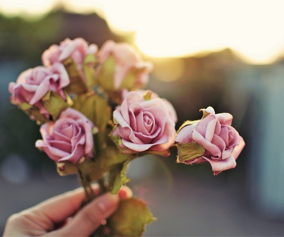 Обои цветы, рука, розы, лепестки, букет, розовые, flowers, hand, roses, petals, bouquet, pink разрешение 2048x1360 Загрузить