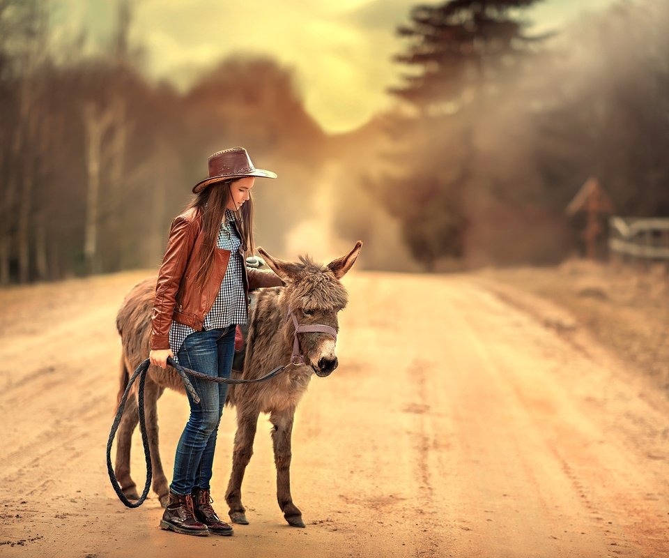 Обои дорога, девушка, джинсы, волосы, шляпа, кожанка, ослик, road, girl, jeans, hair, hat, kozhanka, donkey разрешение 2200x1469 Загрузить