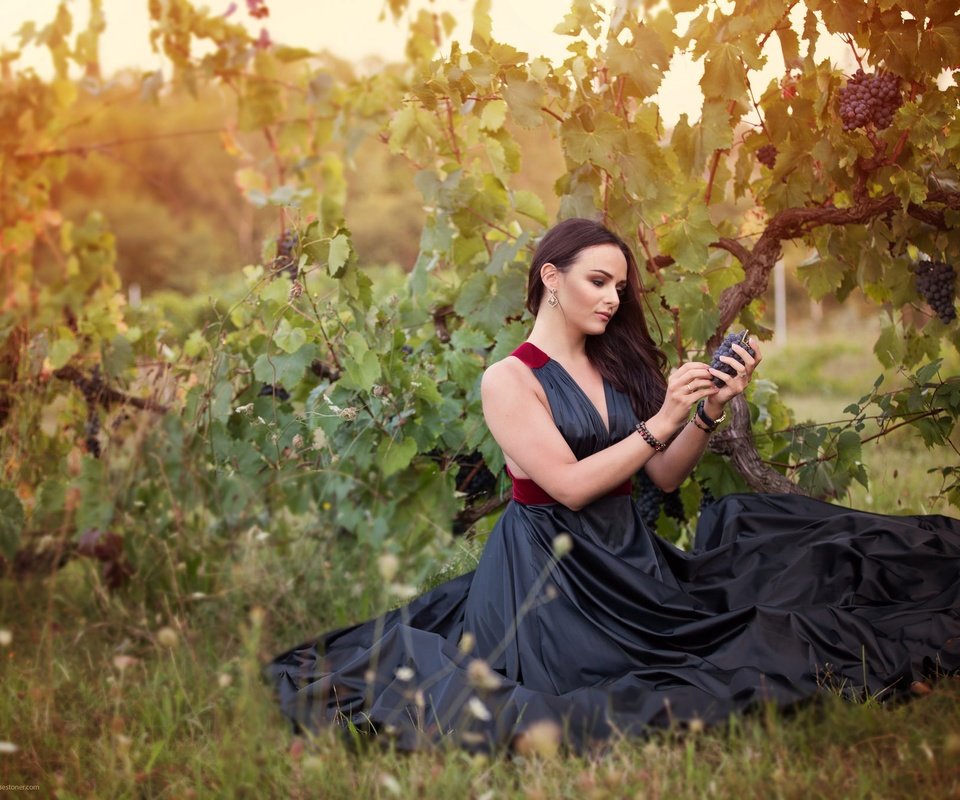 Обои девушка, виноград, платье, брюнетка, взгляд, волосы, girl, grapes, dress, brunette, look, hair разрешение 2048x1365 Загрузить