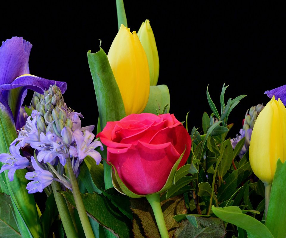 Обои цветы, макро, розы, черный фон, букет, тюльпаны, ирисы, композиция, flowers, macro, roses, black background, bouquet, tulips, irises, composition разрешение 2048x1365 Загрузить