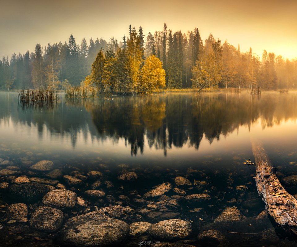 Обои деревья, озеро, лес, отражение, туман, осень, пруд, trees, lake, forest, reflection, fog, autumn, pond разрешение 2048x1083 Загрузить