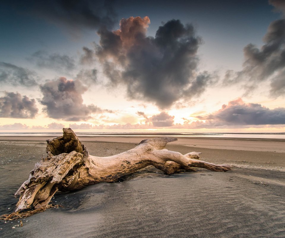 Обои дерево, берег, закат, песок, пляж, tree, shore, sunset, sand, beach разрешение 2048x1357 Загрузить