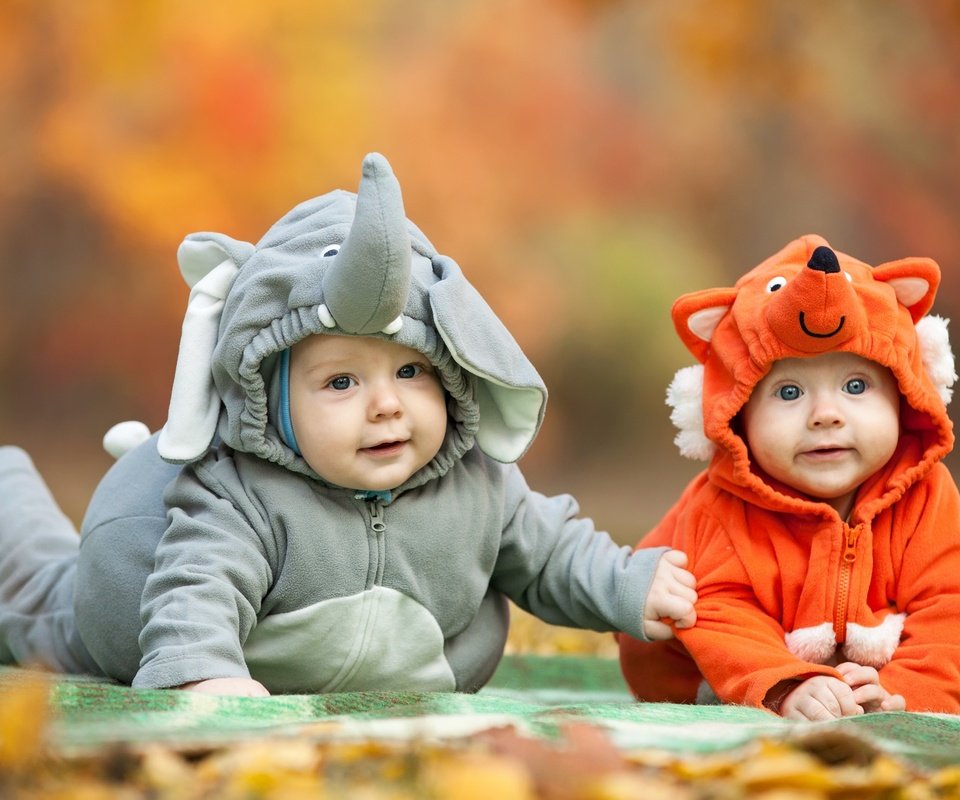 Обои дети, костюмы, слоник, лисичка, позитив, младенцы, children, costumes, elephant, fox, positive, babies разрешение 2560x1600 Загрузить