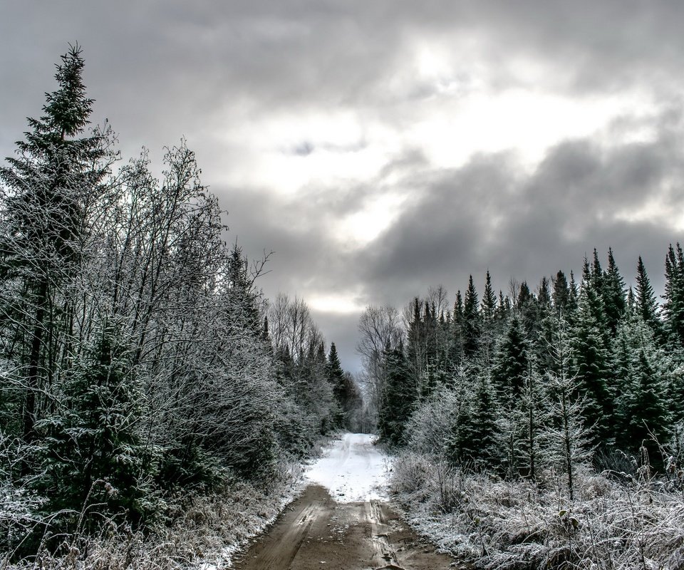 Обои дорога, лес, тучи, зима, ели, road, forest, clouds, winter, ate разрешение 1920x1280 Загрузить