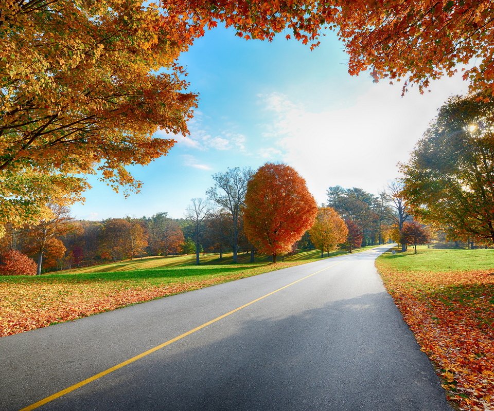 Обои небо, дорога, деревья, листья, пейзаж, осень, деревь, the sky, road, trees, leaves, landscape, autumn разрешение 2560x1600 Загрузить