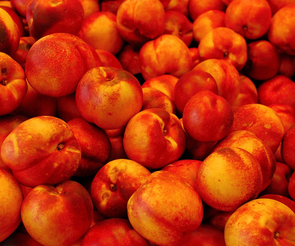 Обои фрукты, нектарин, нектарины, fruit, nectarine, nectarines разрешение 2560x1600 Загрузить