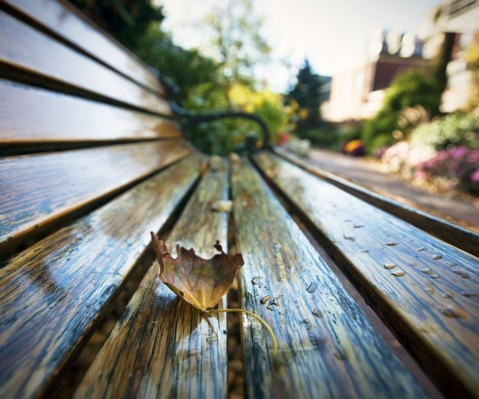 Обои макро, парк, капли, осень, лист, скамейка, macro, park, drops, autumn, sheet, bench разрешение 1930x1206 Загрузить