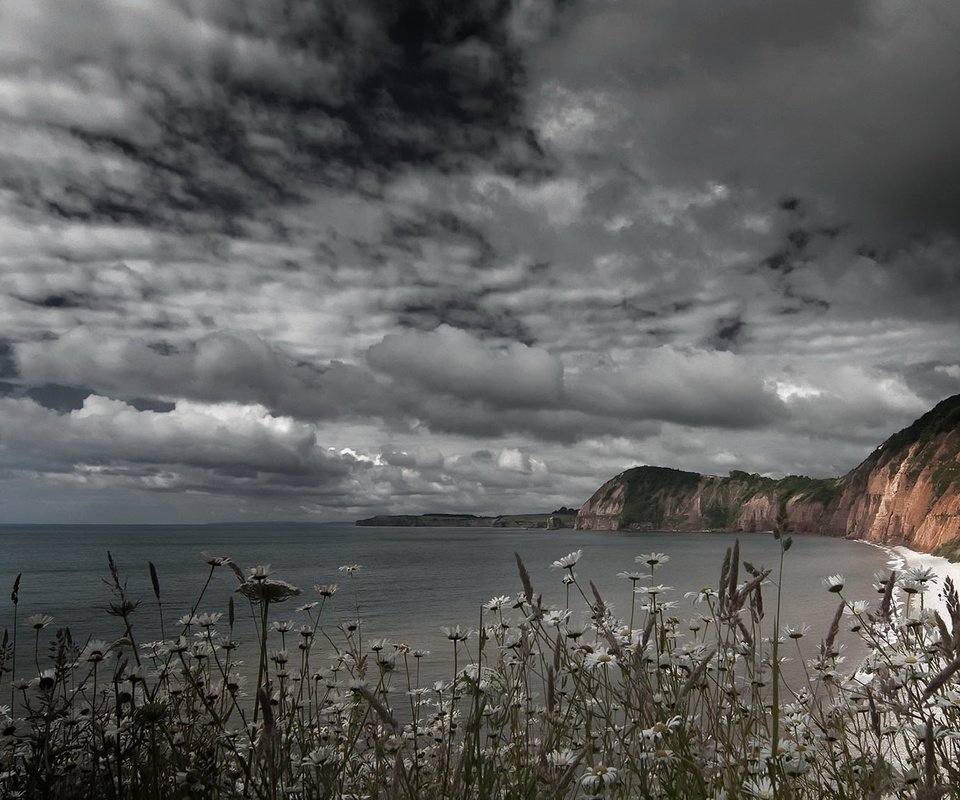 Обои небо, цветы, скалы, берег, тучи, море, the sky, flowers, rocks, shore, clouds, sea разрешение 2048x1144 Загрузить