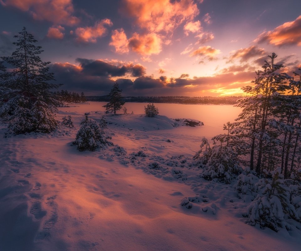 Обои небо, облака, деревья, снег, лес, закат, зима, сумерки, the sky, clouds, trees, snow, forest, sunset, winter, twilight разрешение 2048x1367 Загрузить