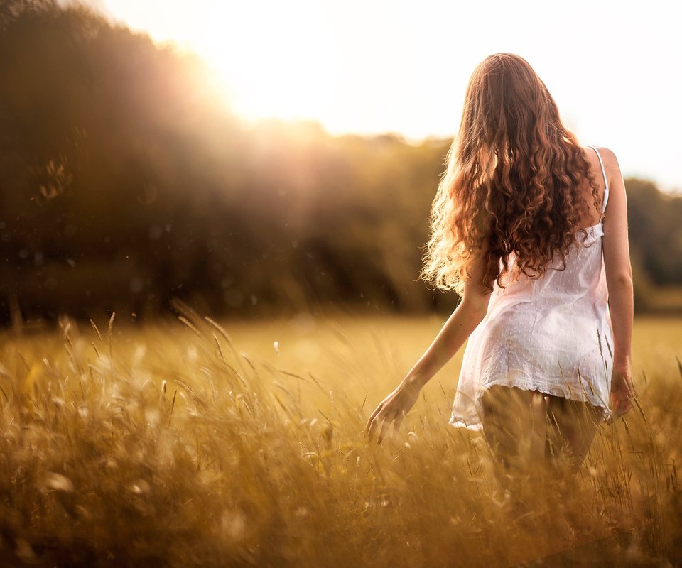 Обои небо, трава, девушка, платье, поле, лето, спина, волосы, the sky, grass, girl, dress, field, summer, back, hair разрешение 2048x1367 Загрузить